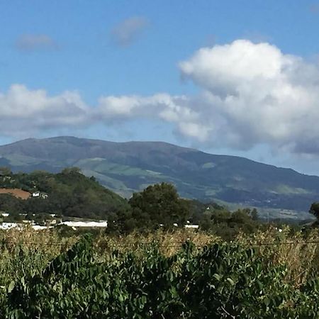 Villa Familia Ponta Delgada Eksteriør billede