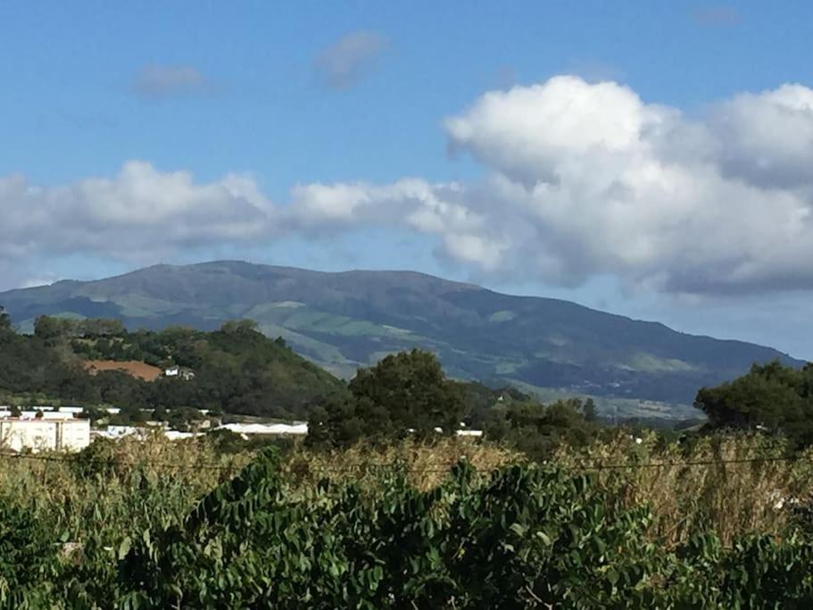 Villa Familia Ponta Delgada Eksteriør billede